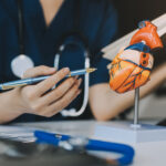 Portrait of young female doctor cardiologist working in office of modern clinic